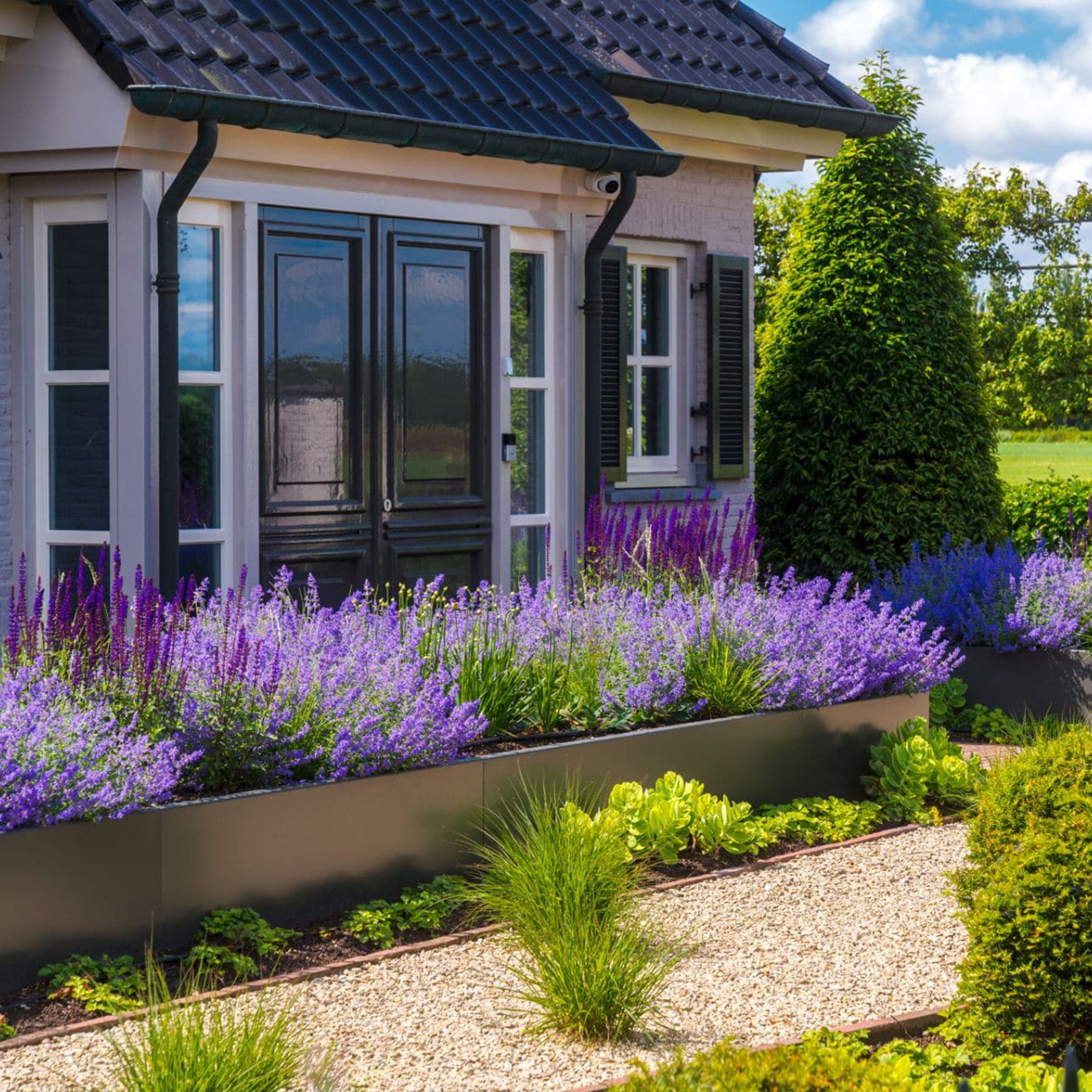 Tuinadvies Dutch Quality Gardens